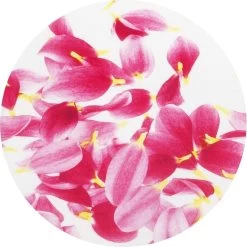 Brabantia Strijkplank B - Met Strijkerhouder - 124x38 Cm - Pink Santini -Brabantia 1200x1198 3