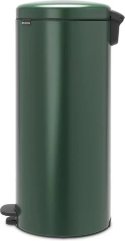 Brabantia NewIcon Prullenbak - 30 L - Pine Green 21 Brabantia NewIcon Prullenbak - 30 L - Pine Green -Brabantia 623x1200 2