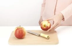 Brabantia Profile Appelboor -Brabantia Apple Corer Profile 8710755250101 Brabantia 300dpi 5770x3847px 6 NR 19655